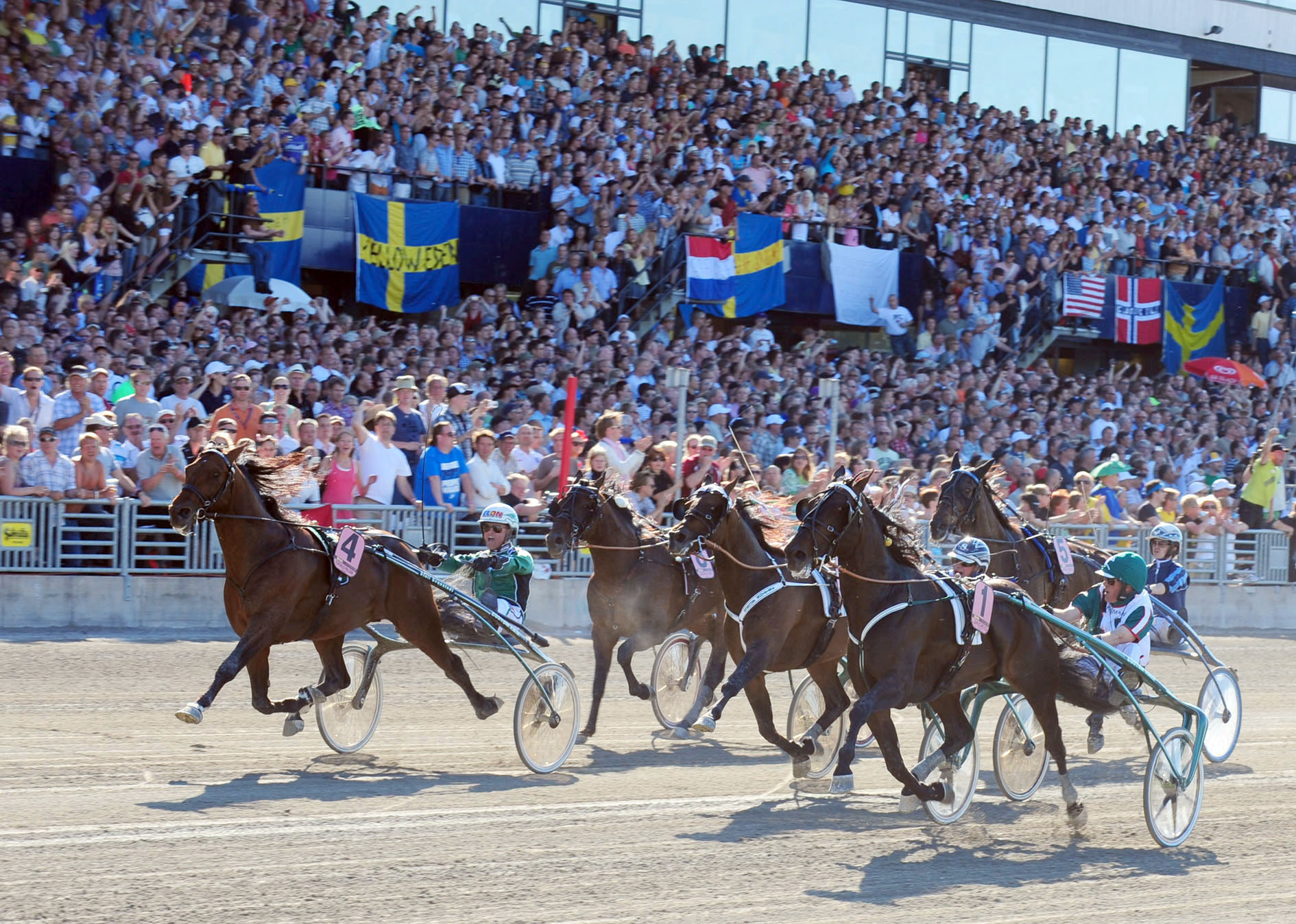 Avslutningen på Elitloppsfinalen 2009 med Torvald Palema som precis före mål går om ledande Jaded. Foto; Claes Kärrstrand